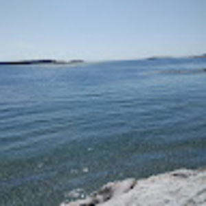 Meet your Posher, Damien